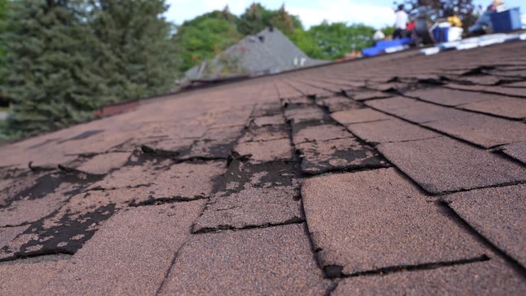 Best Green or Eco-Friendly Roofing Solutions  in Linglestown, PA